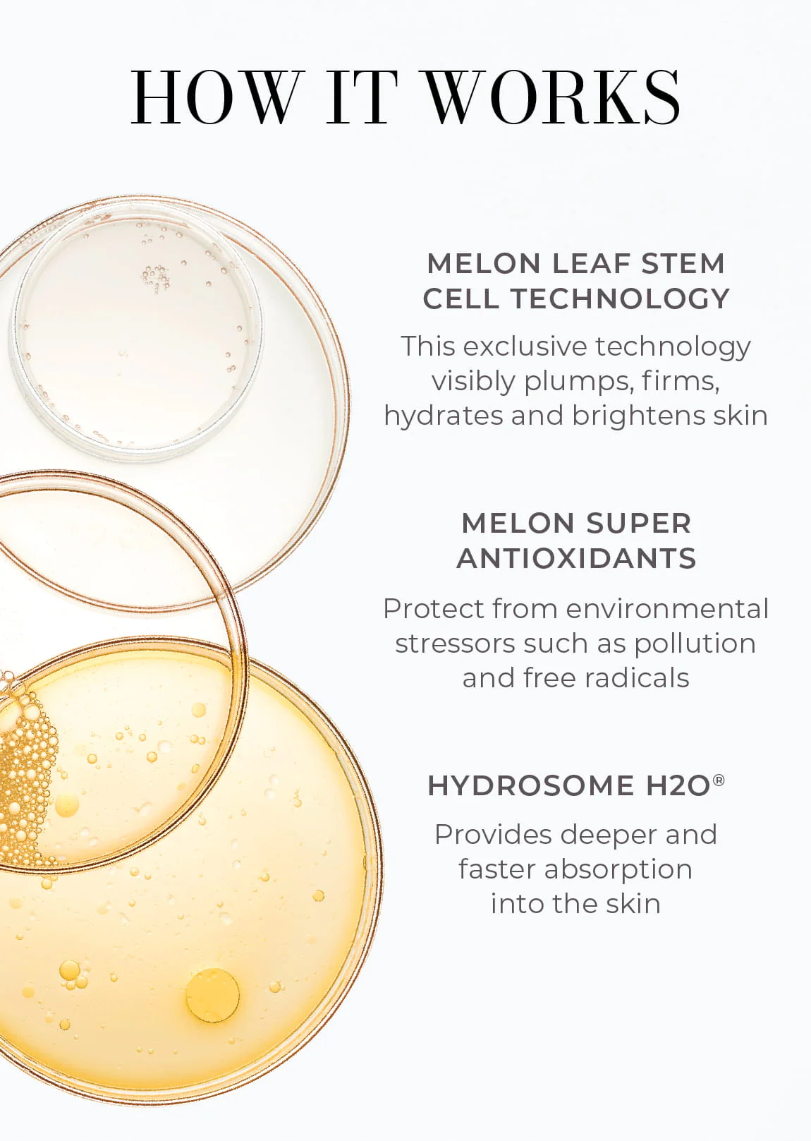 3-Piece Essentials Bodycare System - Image 3