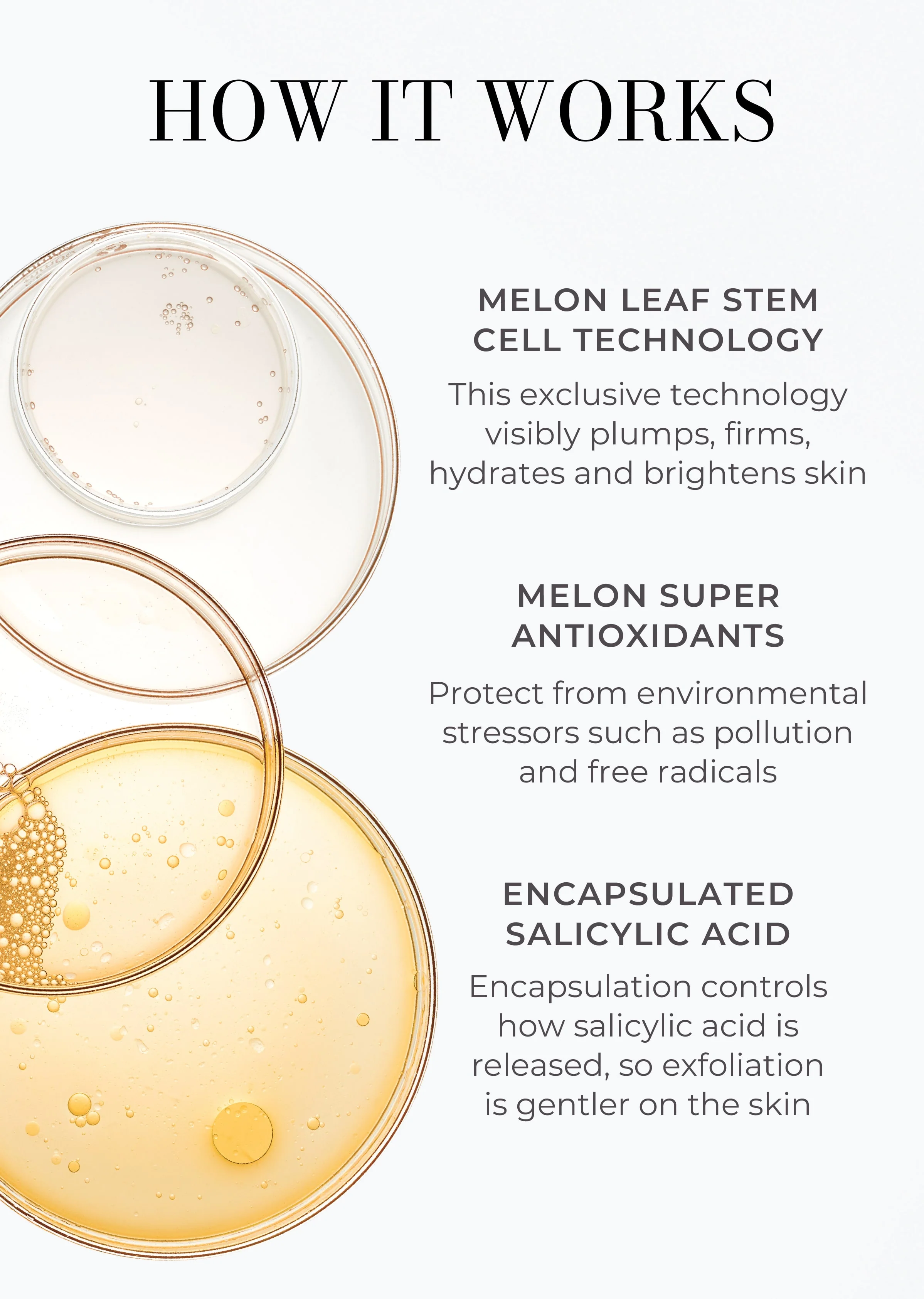 3-Piece Essentials Bodycare System - Image 3