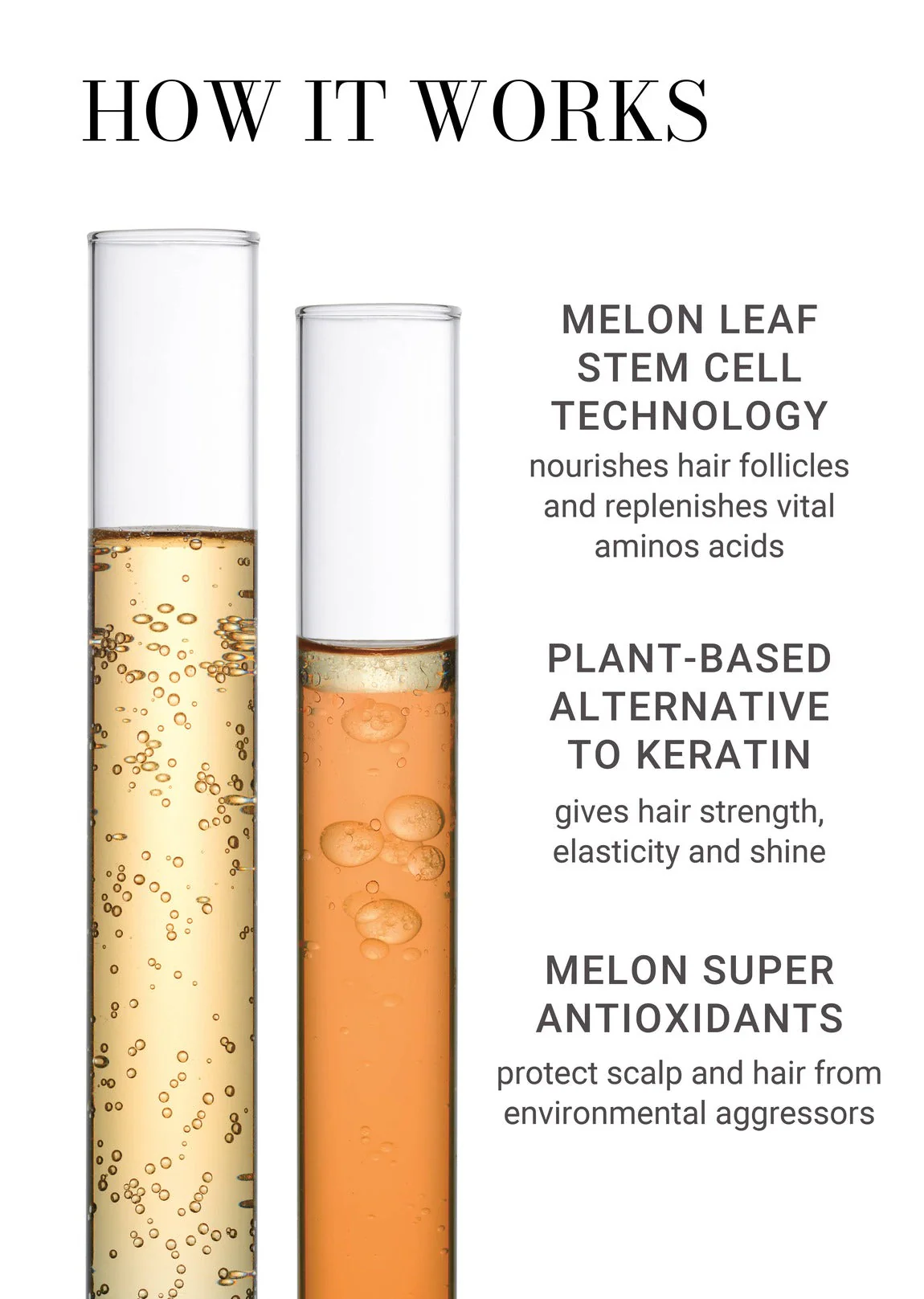 4-Piece Deluxe Age-Proof Haircare System - Image 4