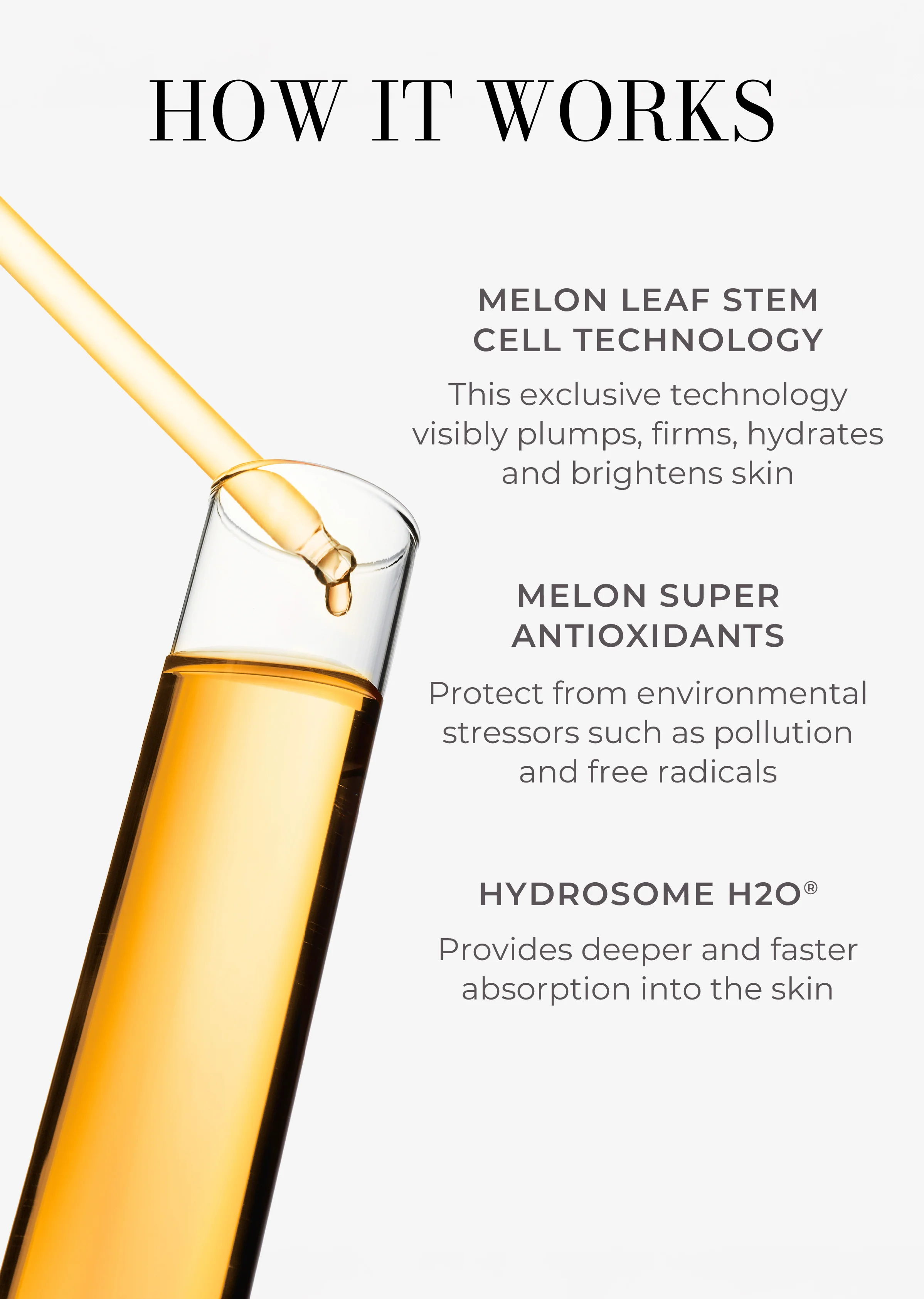 5-Piece Deluxe Neck & Bodycare System - Image 4