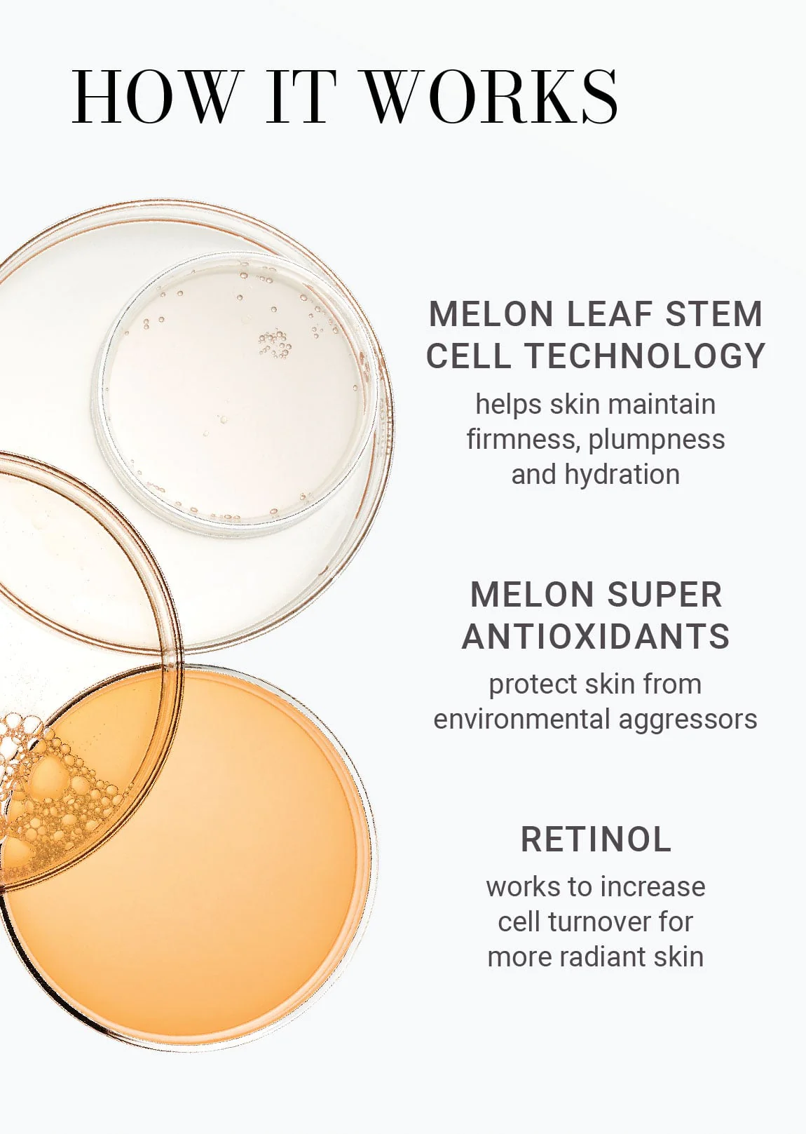 Anti-Aging Face & Neck Skincare System - Image 4