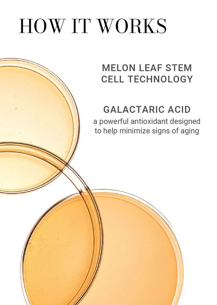 Skin Softening Gentle Cleanser - Image 4