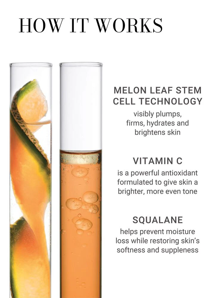 Vitamin C Brightening Duo - Image 6